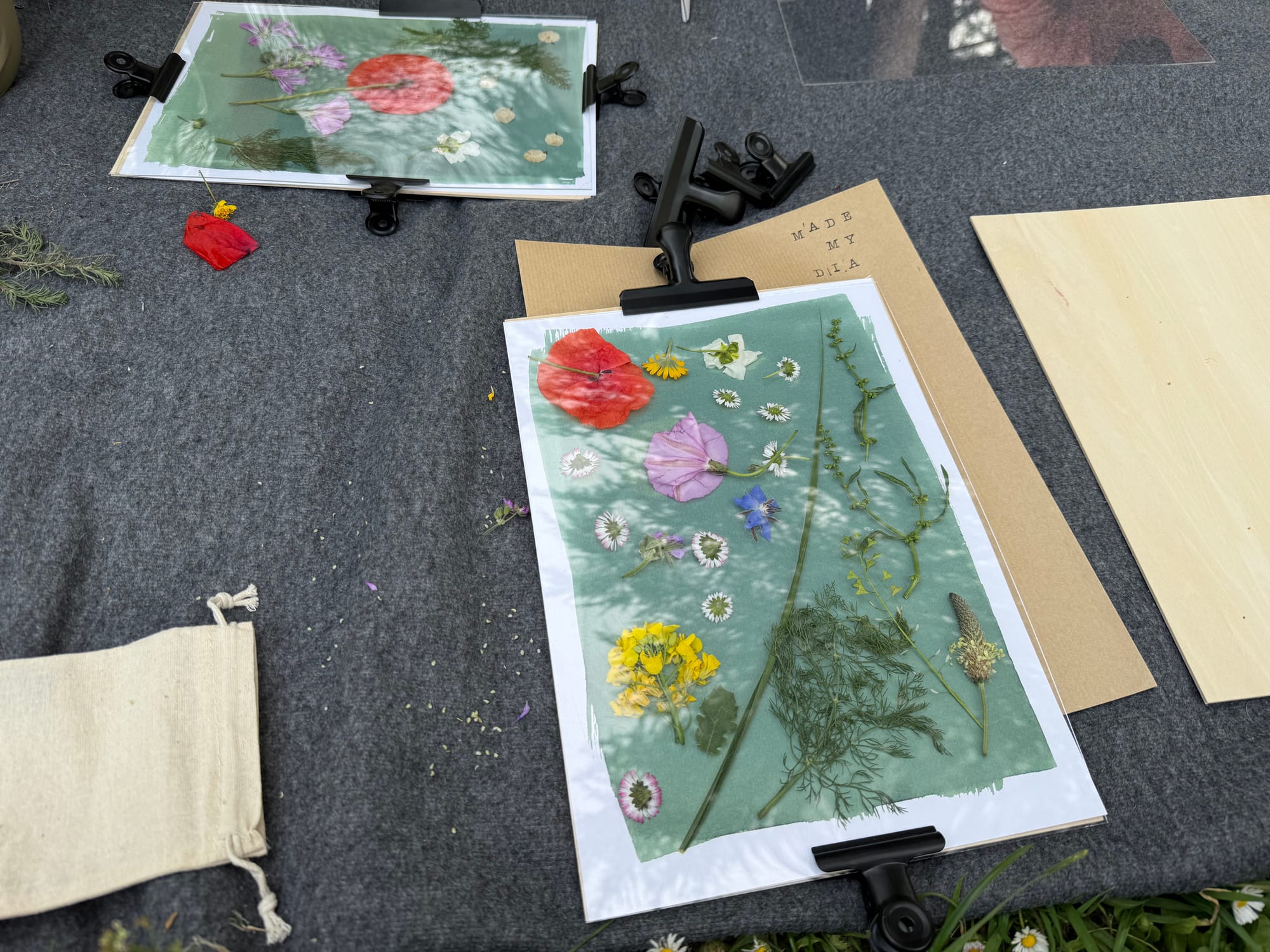 Two pre-coated cyanotype sheets on a clipboard with foraged wildflowers laid out under a pane of glass, ready to expose. A printed Made My Dia envelope sits beside them.