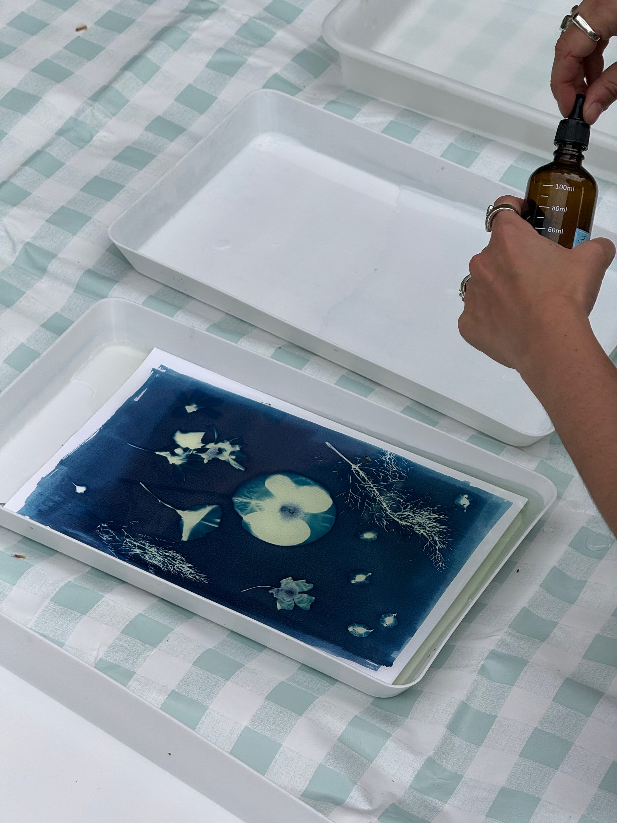 A hand pouring developer from a small brown bottle onto an exposed cyanotype print in a white tray, the print already showing white silhouettes of pansy and ferns on Prussian blue