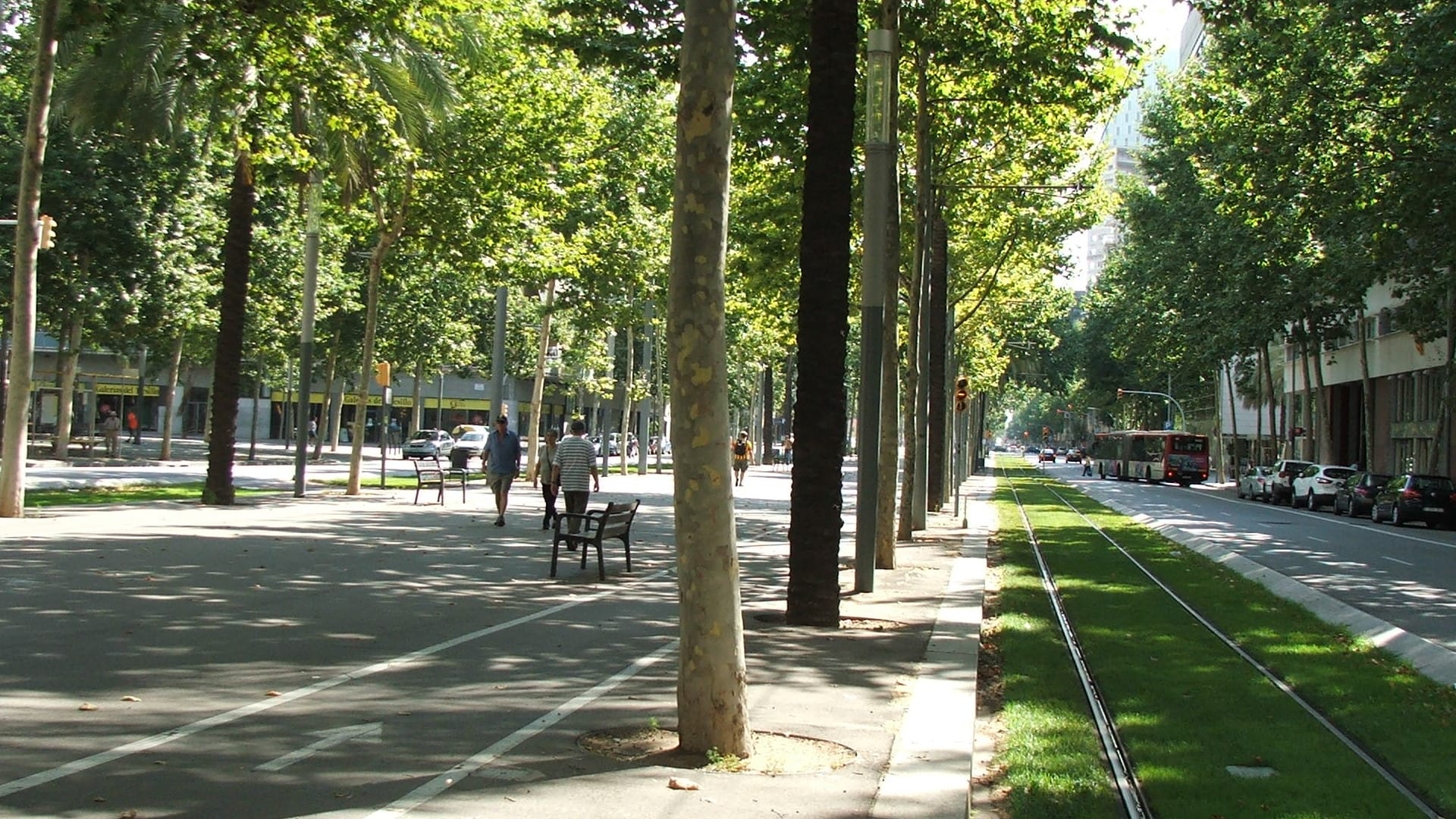 Avinguda Diagonal, a tree-lined avenue in Barcelona with a tram line