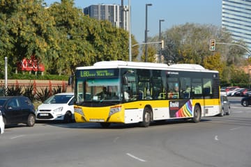 Bus Diversions for L82, L85 and LH1 on Saturday