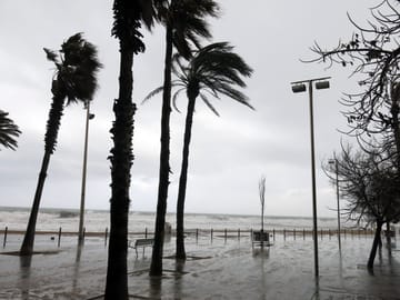 On the seafront promenade in Barceloneta, palm trees are bent by strong winds, and the grey sky hangs over rough, white-capped waves.