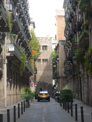 Two Men Arrested in Ciutat Vella Watch Theft