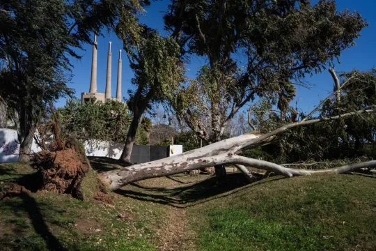 Three Chimneys Soil Contamination: Toxic Metals Found in Sant Adrià Park