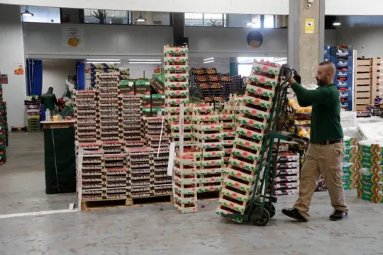 Catalan Government Subsidies Boost Business Language Use