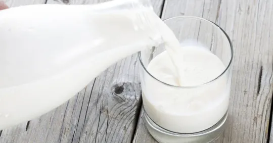 China Imposes EU Dairy Tariffs Up To 42.7%