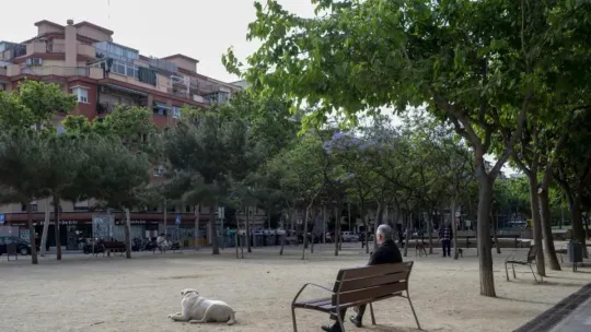 L’Hospitalet Begins Citywide Tree-Planting Plan to Boost Air Quality and Urban Resilience