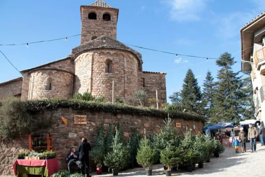 Top Catalan Christmas Markets to Visit This Season, Trees, Crafts, Food and Medieval Magic