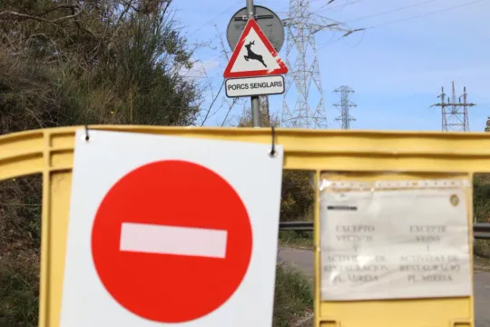 Spanish Army Deploys in Barcelona’s Collserola Park for African swine fever