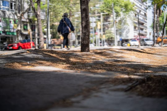 Cracked and uneven pavement on Rambla Guipúscoa in Barcelona, with a fenced-off area and trees.