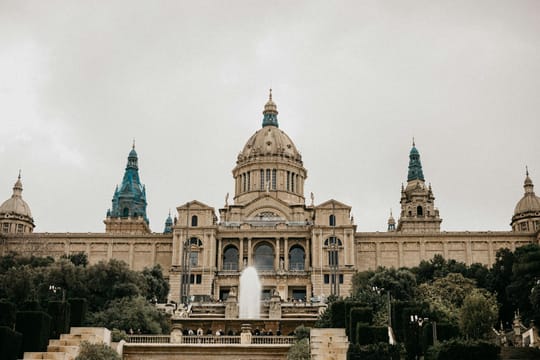 Photo by Jasinto Shabani on Pexels