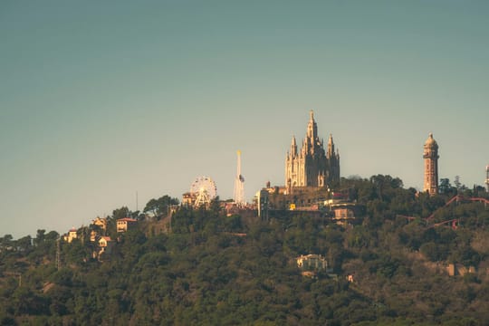 Photo by Masi on Pexels