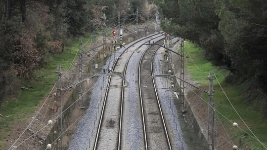 A newly installed fence with an underground barrier along train tracks near a wooded area, designed to prevent wild boars fro