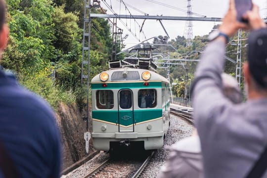 Historic FGC Tren Granota train, a green and yellow electric multiple unit, travelling on tracks through a green landscape.