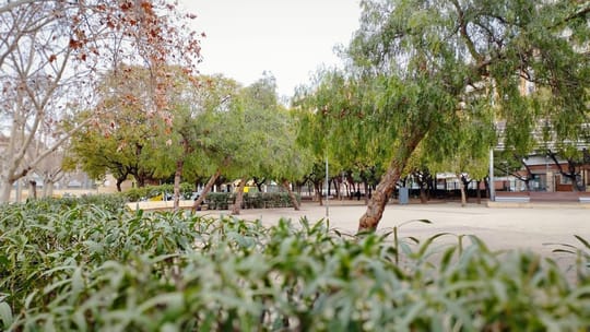 L'Hospitalet to build Santa Eulàlia sports centre
