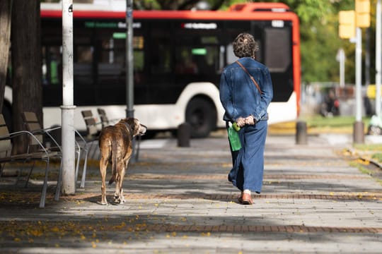 Barcelona amplia les zones per a gossos sense corretja i ajusta horaris