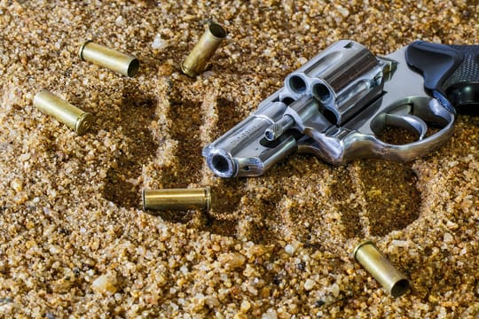 Barcelona Police Seize Two Revolvers in Nou Barris Stop