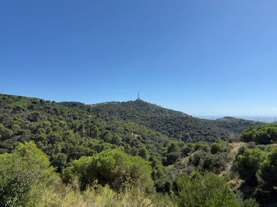A closed entrance to the Parc Natural de la Serra de Collserola shows information about access restrictions linked to African swine fever controls.