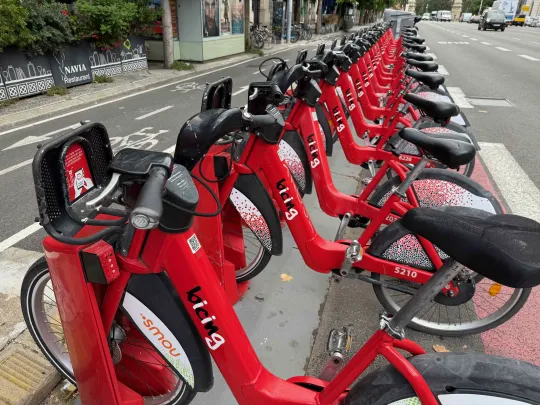 Bicing for newcomers: what works, what does not