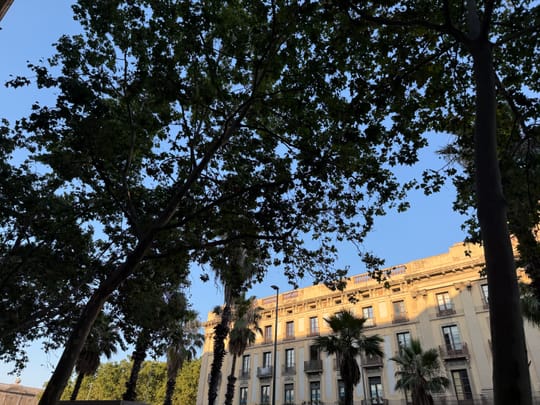 Barcelona Nights Stay Hot as Catalonia Peaks