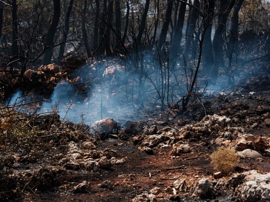 Residential buildings in the Flamingos area of Benahavís after wildfire evacuations on the Costa del Sol