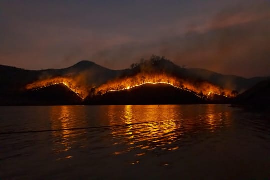 Burnt woodland in Les Gavarres, Girona, after a wildfire that scorched more than 2,300 hectares in Catalonia.