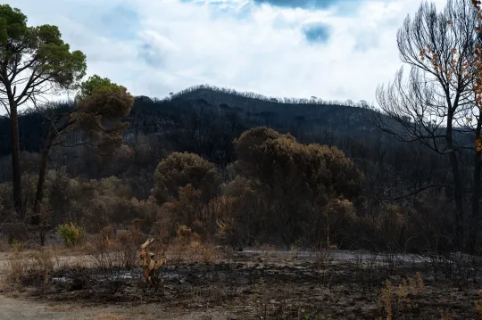 Fresh wildfires keep pressure on Catalonia crews