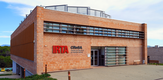 Police search IRTA-CReSA again over swine fever
