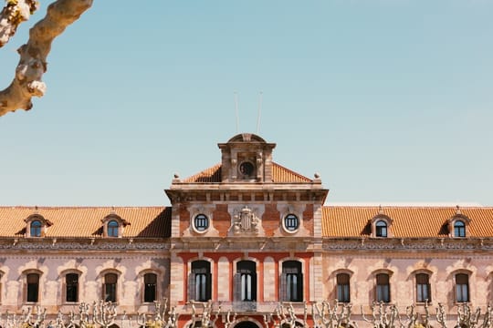 Parliament to hear Barcelona care strike testimony