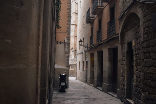 Moventis urges Barcelona to manage tourist flows