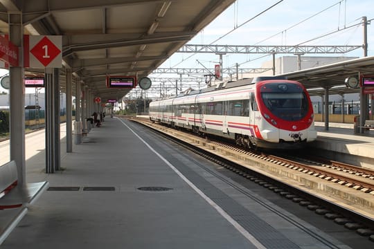 A dog travelling with its owner on a Renfe service from Barcelona.