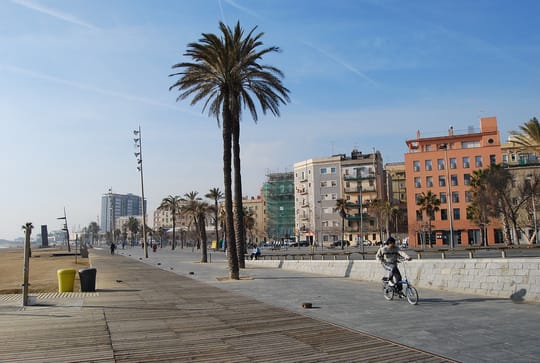 The seafront promenade at Barceloneta, with palm trees, a cyclist and apartment blocks behind, and the beach on the left