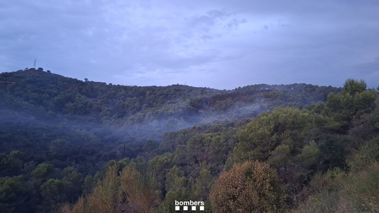 Catalonia Pledges No Cuts to Wildfire Prevention