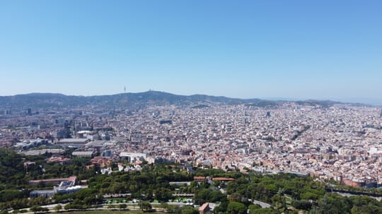 Laure Vega set to lead CUP Barcelona mayoral bid