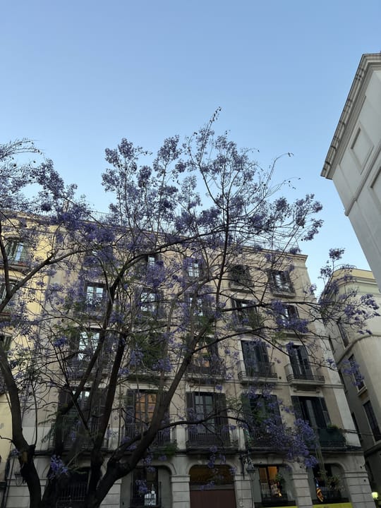 Placa Del Sol, Gracia, Barcelona