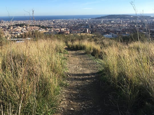 Barcelona Reviews Mountain Neighbourhood Planning for Fire Safety