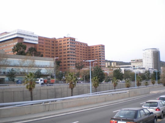 Facade of Vall d'Hebron University Hospital in Barcelona, a leading centre for rare disease care in Catalonia.