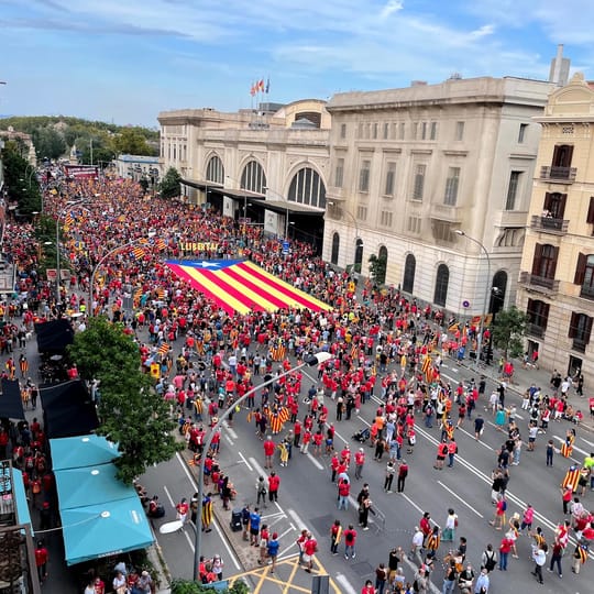 ERC Pushes Barcelona Council to Condemn Police Seizure of Esteladas