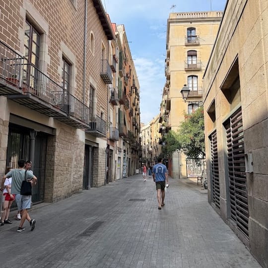 Off-duty Mossos officer stops street robbery in Barcelona