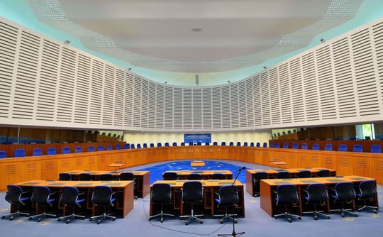 European Court Upholds Protesters' Rights