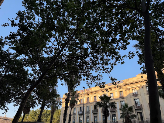 A view of residential buildings in Barcelona, with a focus on housing and community, illustrating the city's new mediation programme to prevent housing disputes.