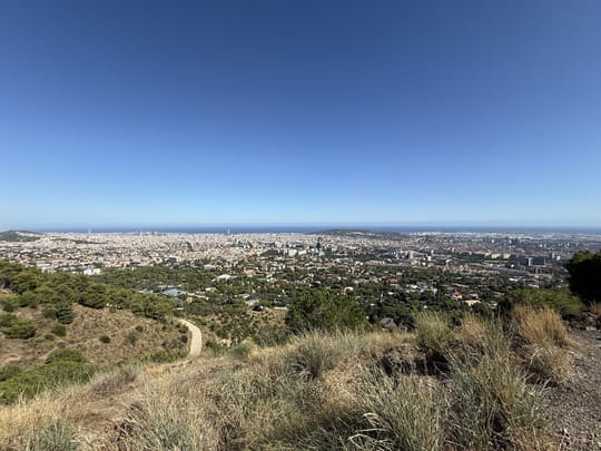 Collserola Considers Vegetation Clearing After Major Fire