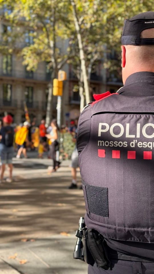 Nearly 20 Arrested in Diada Clashes