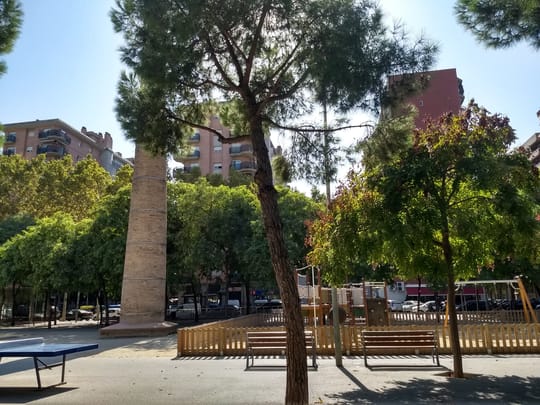 Plaça de la Palmera paving works start