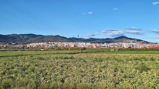 New apartment buildings under construction in Baix Llobregat, the metropolitan county south-west of Barcelona.