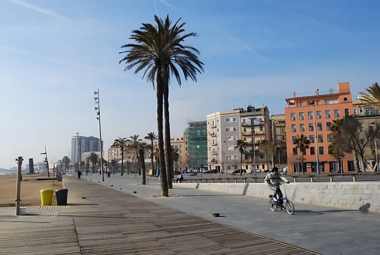 The seafront promenade at Barceloneta, with palm trees, a cyclist and apartment blocks behind, and the beach on the left