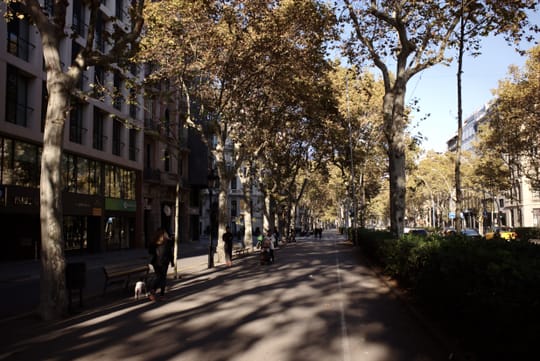 Catalan and Spanish Governments to Merge Citizen Service Desks