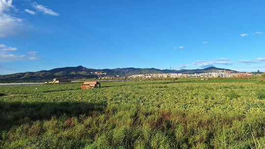 Farmers Lose Crops in Baix Llobregat Floods