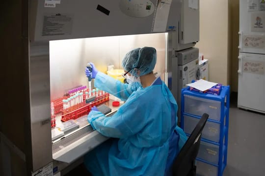 IDIBAPS Tops Catalan Biomedical Research Funding