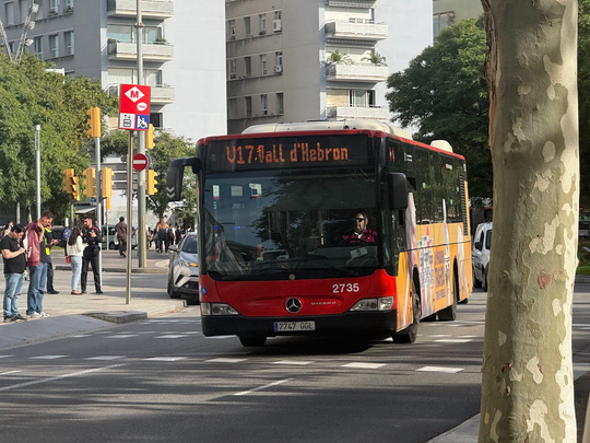Special Buses to Cemeteries for All Saints' Day