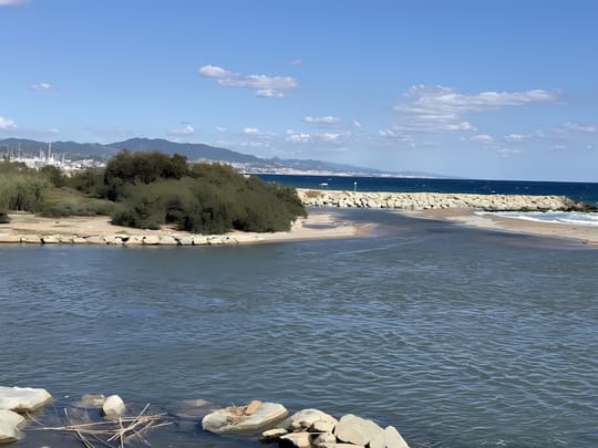 Besòs River at Risk of Overflow After Rain Surge